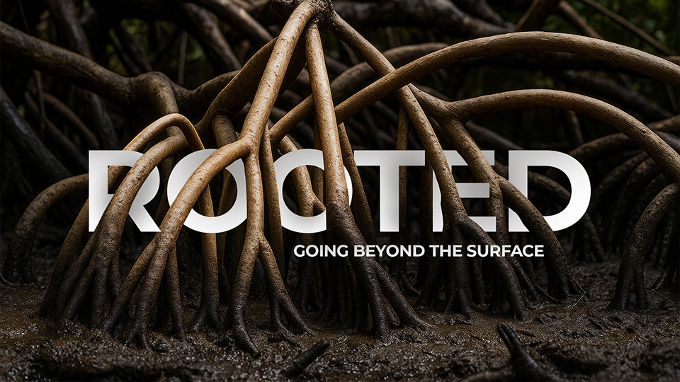 Rooted Sermon Series